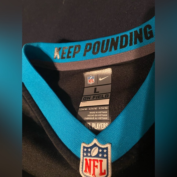 Carolina Panthers #28 Jonathon Stewart - Picture 5 of 7